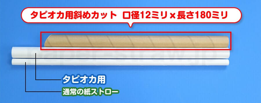 他の紙ストローと長さを比べた写真